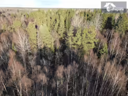 Metsamaa kuulutus advert link